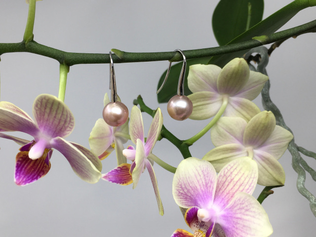 Freshwater Pearl Earrings
